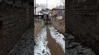 Siyezen 13.01.2024 #siyezen
