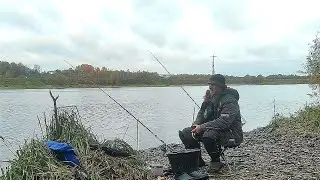 В этом месте живут Самые Здоровенные Лещи. Оборвал все кормушки и поводки ,но Лещей поймал.