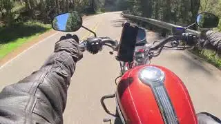 Mount Rainier run 2.  La Grande / Alder #harley #sportster #riding #rider #motorcycle #ridelife 