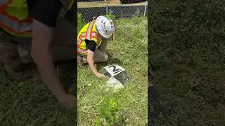 Weed whacking my drone survey targets 🎯