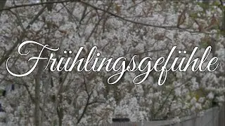 Frühlingsgefühle - soothe calming relaxed