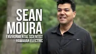 My Job: Environmental Scientist