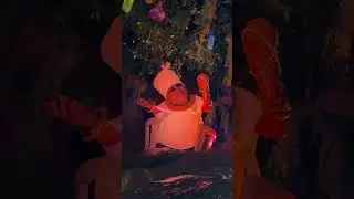 Tiana’s Bayou Adventure #tiana #disneyparks #florida #orlando #themepark #wdw #bayoucountry #magical