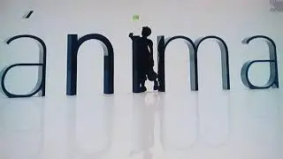 Videocine Distribución/Ánima Estudios (2011)