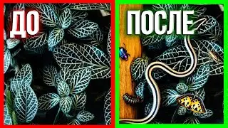 Генеративная заливка - Как добавить предмет в фотошопе с помощью нейросети?