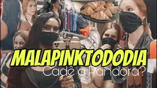 DIÁRIOS MÃE e FILHA: Missão procurando a Pandora + Chegando em Uberlândia