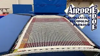 Double Mini Trampoline (DMT) Summary