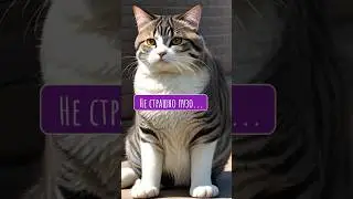 Не страшно пузико, если за ним кубики... 🐱💪 