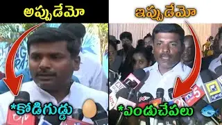 Gudivada Amarnath Troll | Pawan Kalyan | Kodi Guddu | Telugu Trolls |