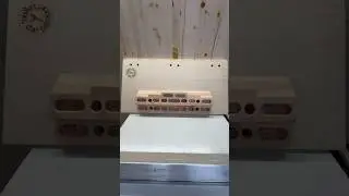 Anche questa portata a casa!