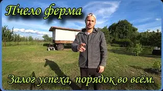 Пчело ферма. Залог успеха, порядок во всём.