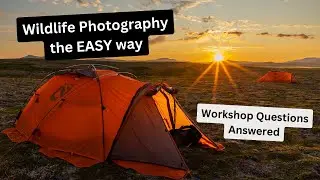 Wildlife photography made easy on a photography workshop. All the answers to my FAQ's.
