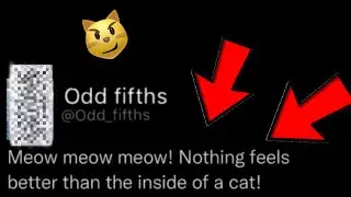 Twitter Users Nowadays