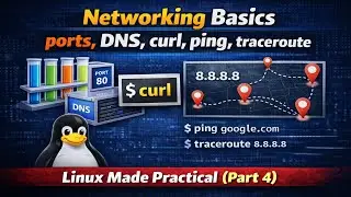 Master Linux Networking: Ports, DNS, Ping, Traceroute, Curl Explained