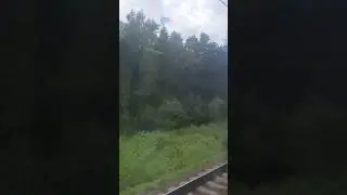 электропоезд Москва