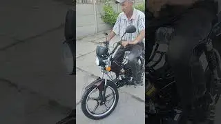незаменимая лошадка