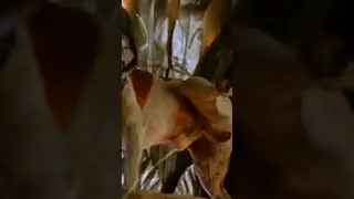 Маргарите симоньян нассали в рот