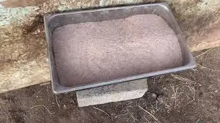 Қойлар жемде 1
