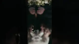 Видеограф Нажмик89679403751 