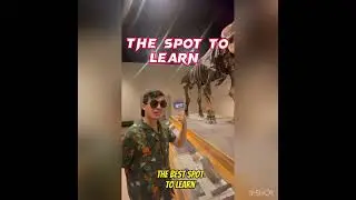 On The Spot
