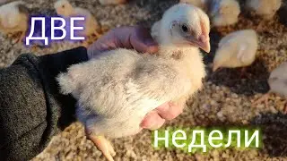 Главное "НЕ БОЯТЬСЯ" и "ВСЁ ПОЛУЧИТСЯ".