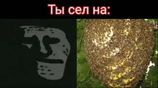 Ты сел на: