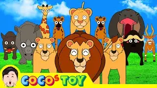 [29min] Dad! I am going to be another Lion king! 1~3ㅣanimals cartoon for childrenㅣCoCosToy