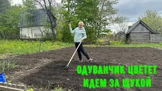 Рыбалка в деревне, сажаем огород в -5!