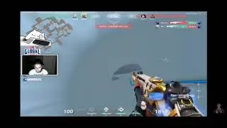 POG clutch by Sk Rossi | Radiant pugs...