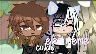 Anybody else meme || Gacha || Collab with @kittychip ⚠️ Minor Flash ⚠️