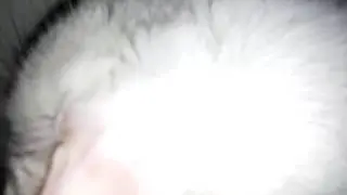 Одиннадцать вечера.Дождь.Зарницы.