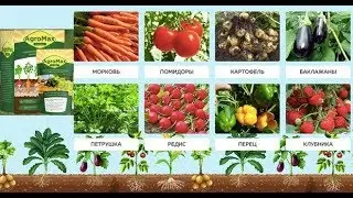 Agromax