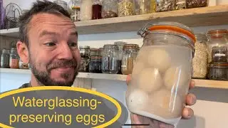 A celebration of Urban Homesteading featuring liming /water glassing to preserve eggs