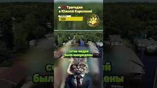 🌧️💔 Трагедия в Южной Каролине!