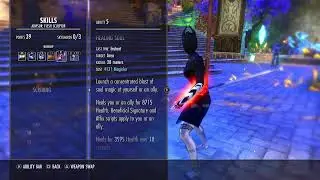 The Elder Scroll Online