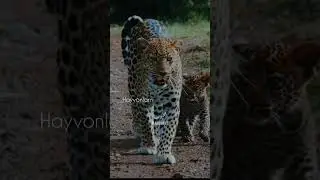 Alloh odamni juma kuni yaratdi. Tuproqni shanba kuni yaratdi 