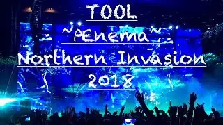 Tool Ænema Live 2018 Northern Invasion Multicam