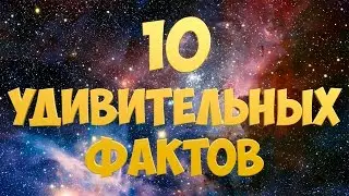 10 УДИВИТЕЛЬНЫХ ФАКТОВ [ENOT SHOW]