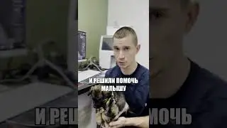 Малышу никто не помог🥹 