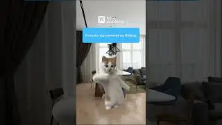 Будь счастлив, как котик! 🐈 Поступай на GO-разработчика в 