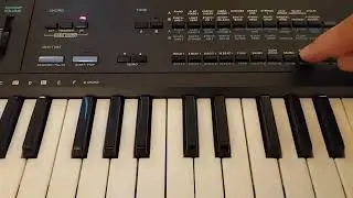 1987 Meets 2023 - Casiotone MT-600 Flea Market Special Demo