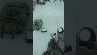 tarkov turtle 