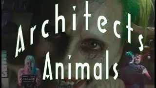 Architects - animals