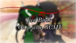 Two Birds on a wire // GCMV
