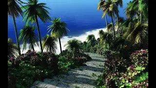 Jungle video #sleep #chillout #relax #relaxing #sleep #sleepvideo #tsunamitsar #bass #mir