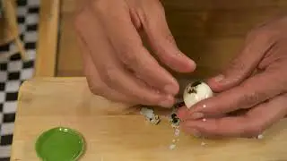 Tiny Ramen Recipe | Miniature Japanese Delight | Tiny Kitchen