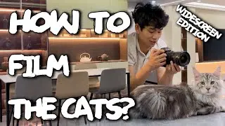 [Wide Screen] Q&A - How to film Mr. Nice in the Mini-House?