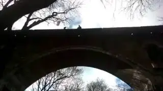 роупджампинг в ставрополе