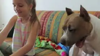 Влог. Закупка. У нас собака....