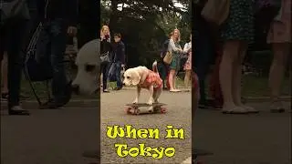 When in Tokyo - Yoyogi Park 